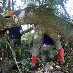 elkline-outdoorhosen-3