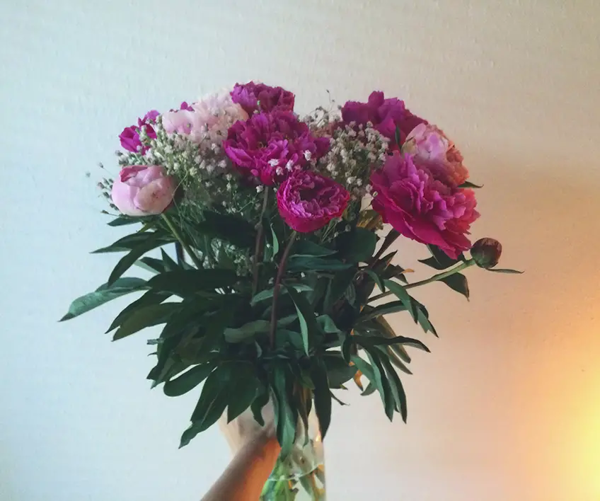 Desi_Freitags_Liebling_Blumen