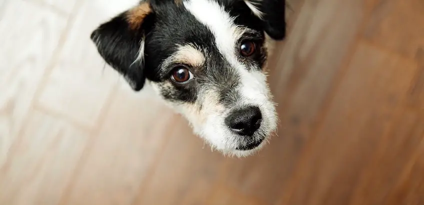 Wenn es dogmatisch wird in der Kindererziehung bin ich raus!