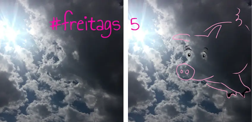 Die tolla Freitagslieblinge 2 – #freitags5 mit Licht und Schwein