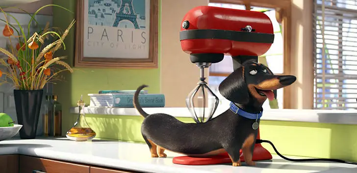 Pets (3D) – ein Kinderfilm über Freundschaft und Liebe – mit Verlosung (Werbung)