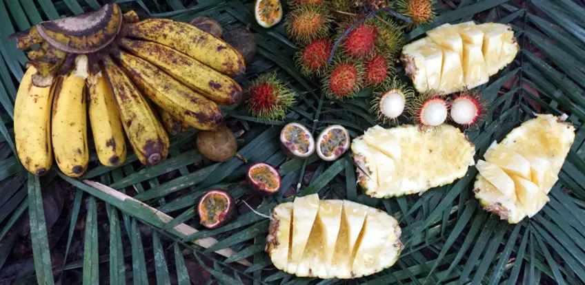 Reiseschnipsel – Ananas schnell schneiden