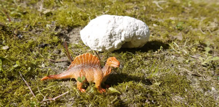 Dino-Ei-Fossile entdecken –   Bastel- und Entdeckerspaß für kleine Paläontologen