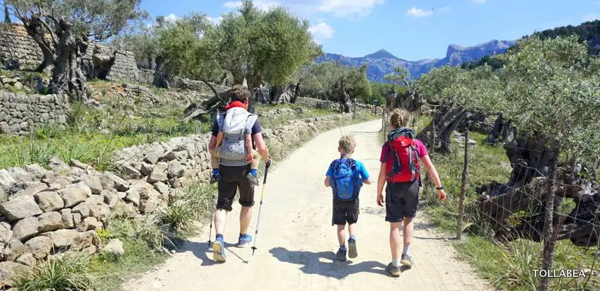 Mallorca mit Kindern – immer wieder gern! Über eine wunderbare Familienreise