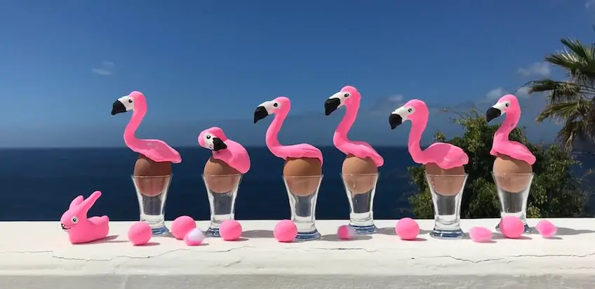 Flamingo-Ostereier!