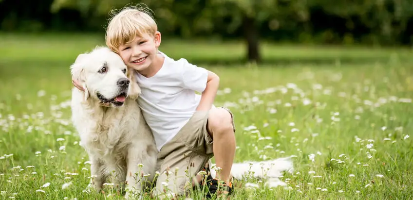 6 Regeln für den richtigen Umgang von Kindern mit Hunden