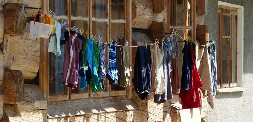 DIY Öko-Tipp: Waschmittel aus Kastanien selber herstellen