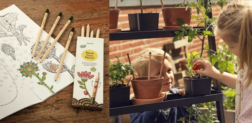Sprout sind Stifte, die zu Pflanzen werden! Werbung und Verlosung