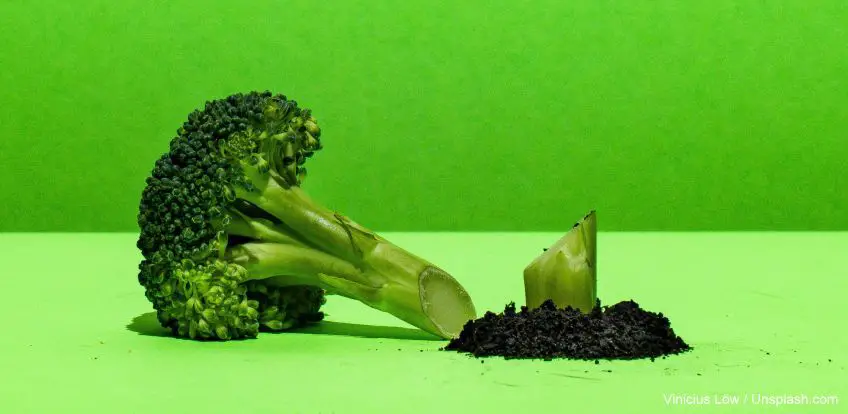 Broccoli sind Bäume für Ameisen? Wie ich als Kind die Welt sah – 7 Beispiele