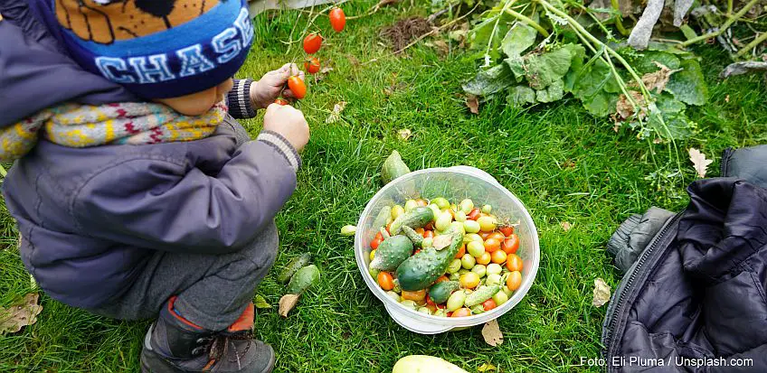 Kindern gesunde Ernährung durch Gärtnerei beibringen – Gastbeitrag von Simon