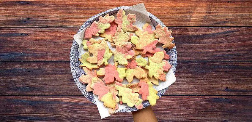 Bunte Herbstlaub-Plätzchen mit Kindern backen